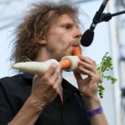 The Vegetable Orchestra